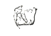 Photo - Unmounted