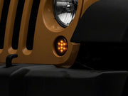 Photo - Close Up