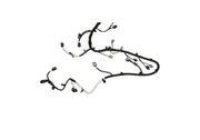 Photo - Unmounted