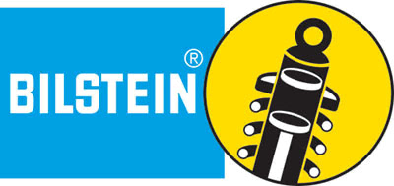 Shocks and Struts