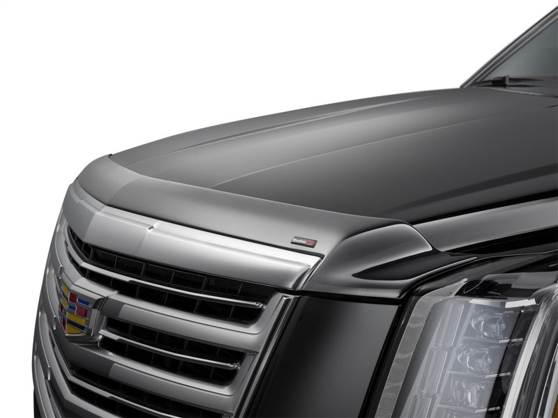Stone/Bug Deflectors